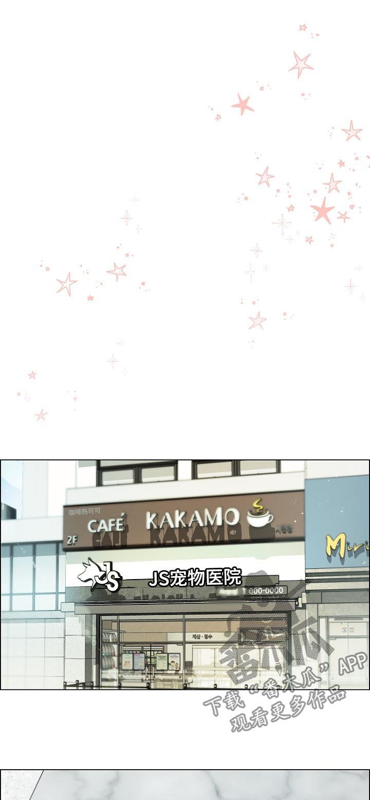 第62章：交通事故