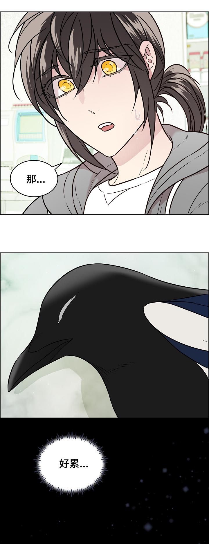 第62章：交通事故