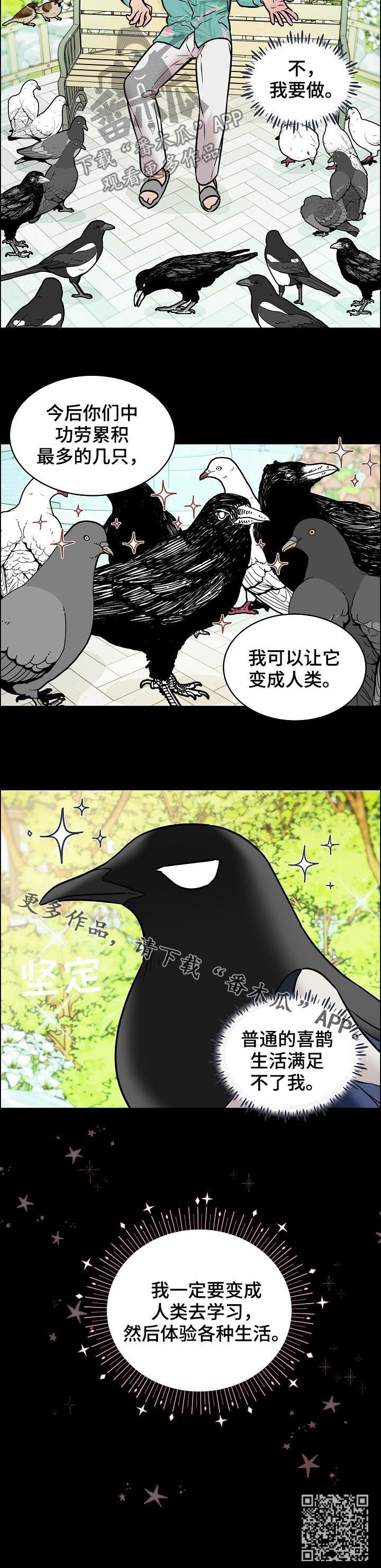 第62章：交通事故