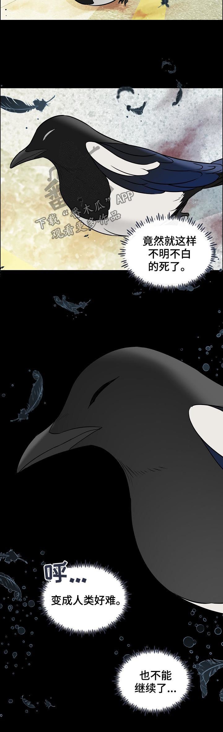 第63章：照顾
