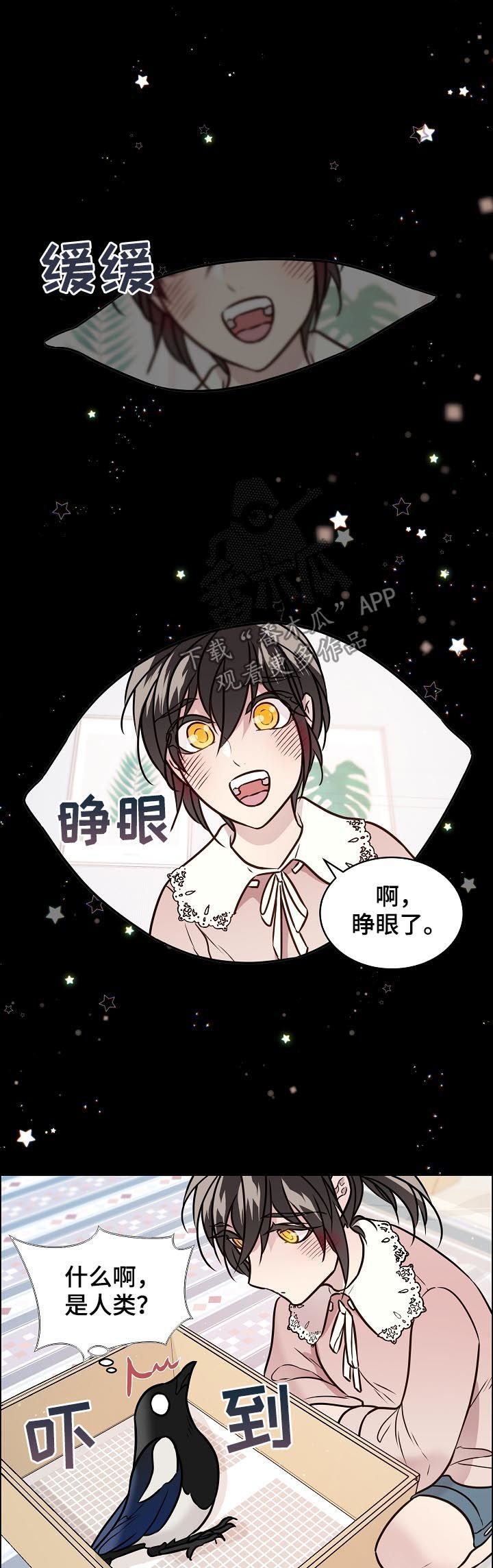 第63章：照顾