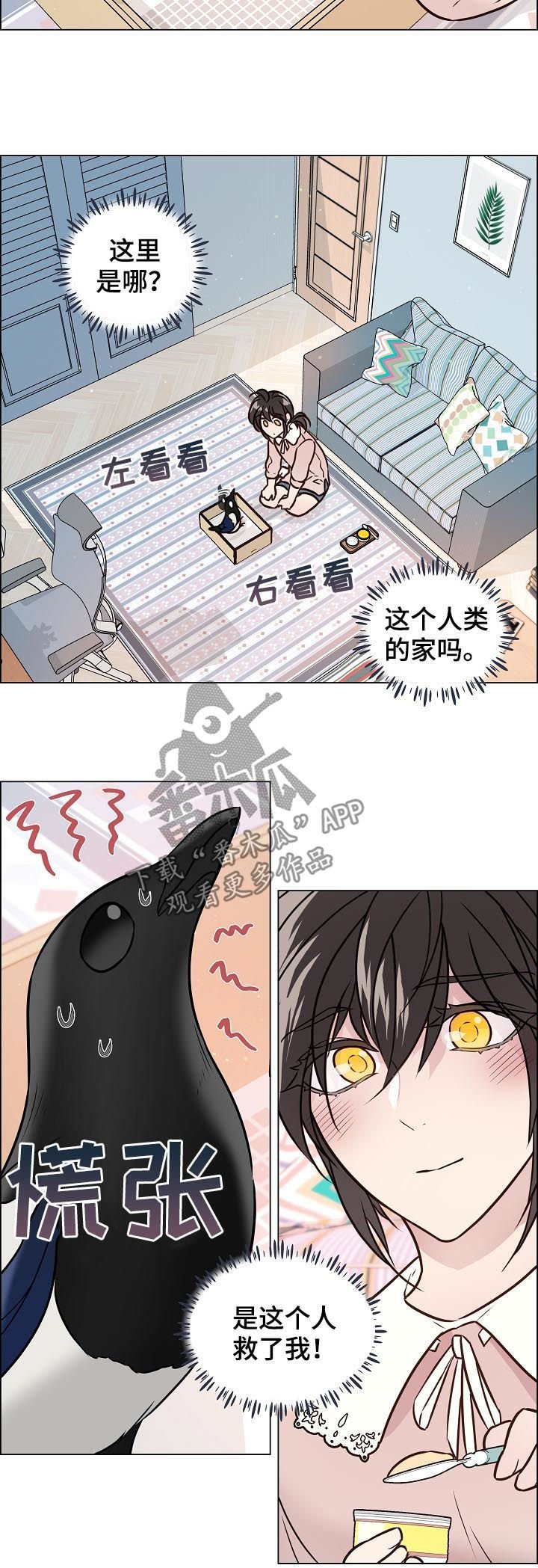 第63章：照顾