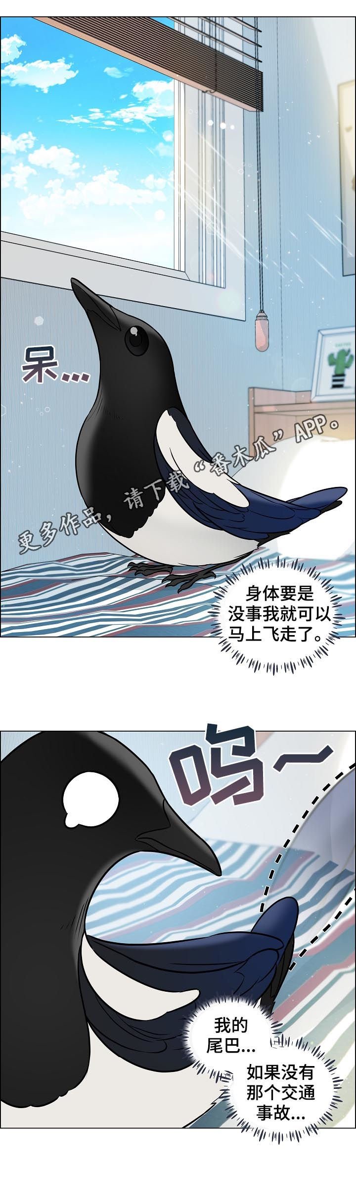 第64章：安稳