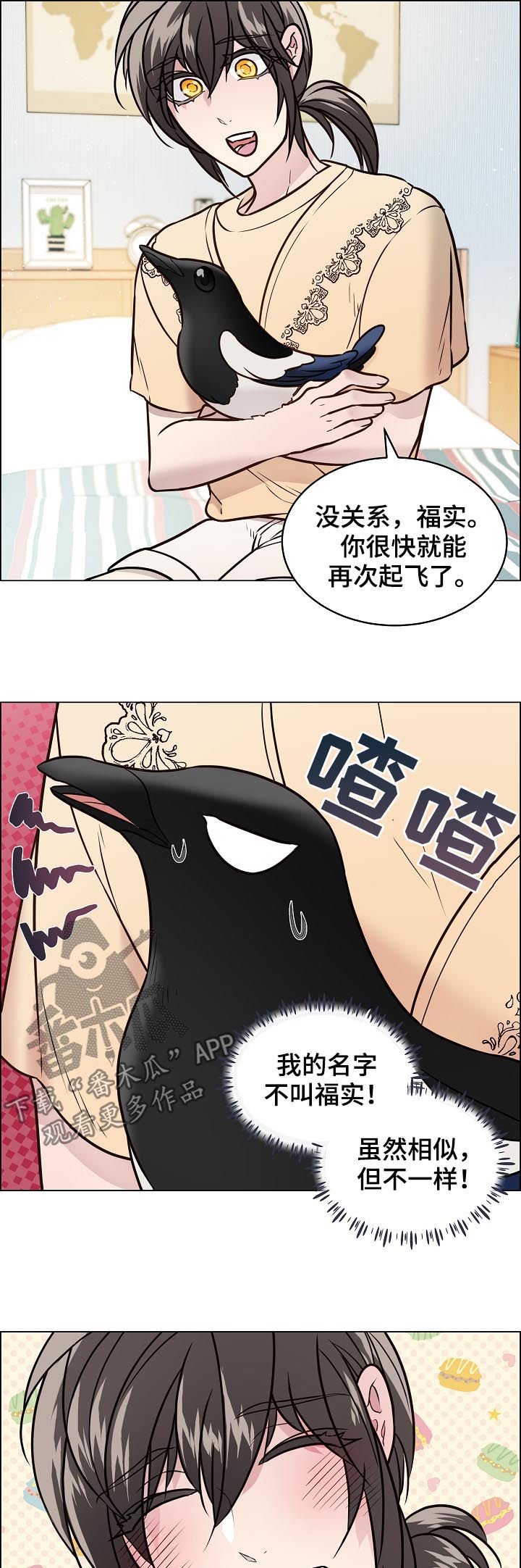 第64章：安稳