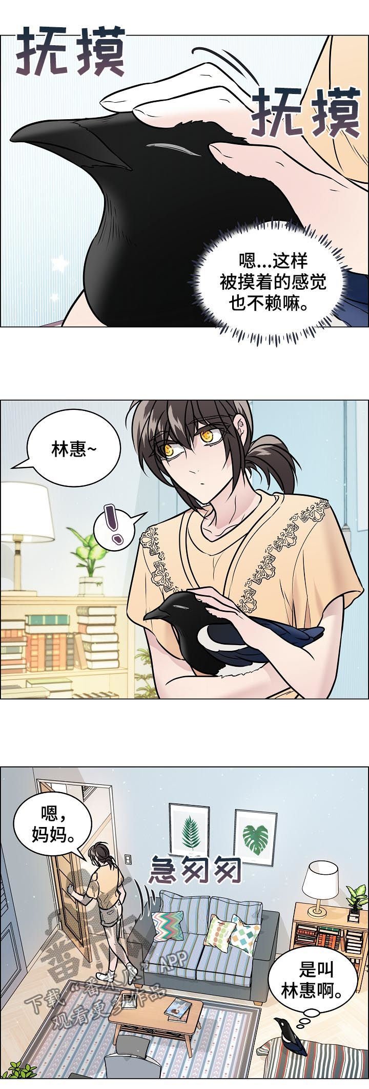 第64章：安稳