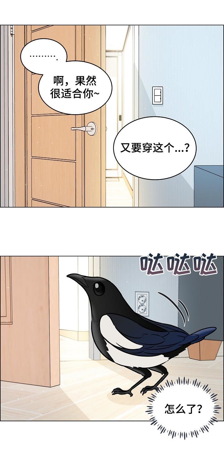 第64章：安稳