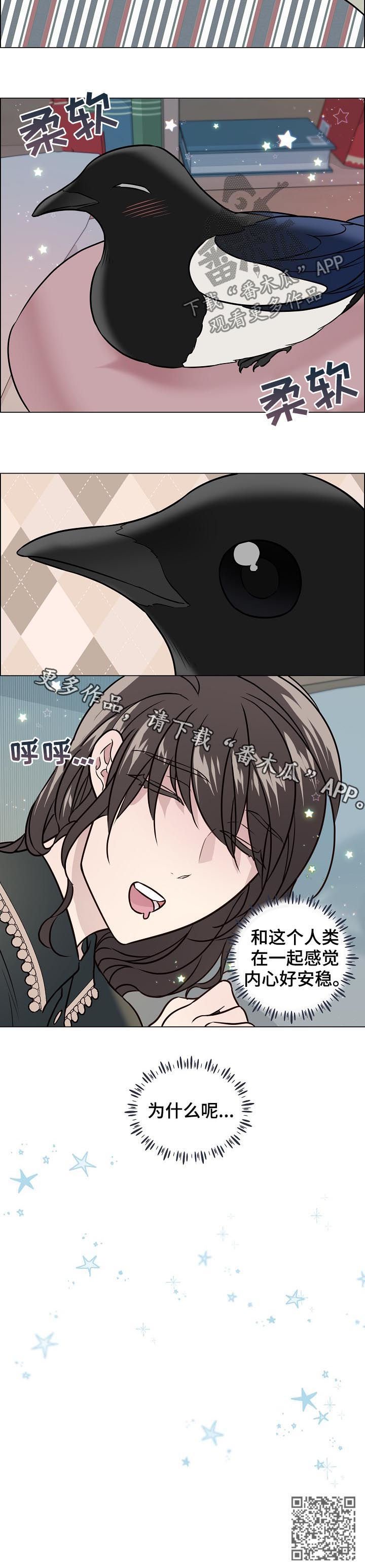 第64章：安稳