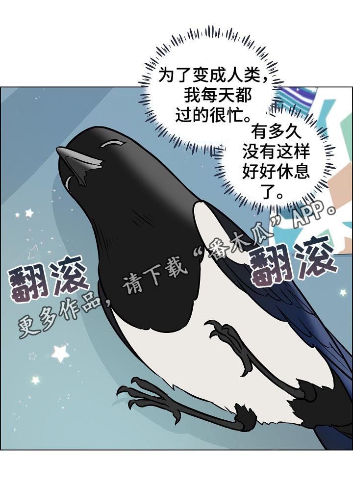 第65章：离开