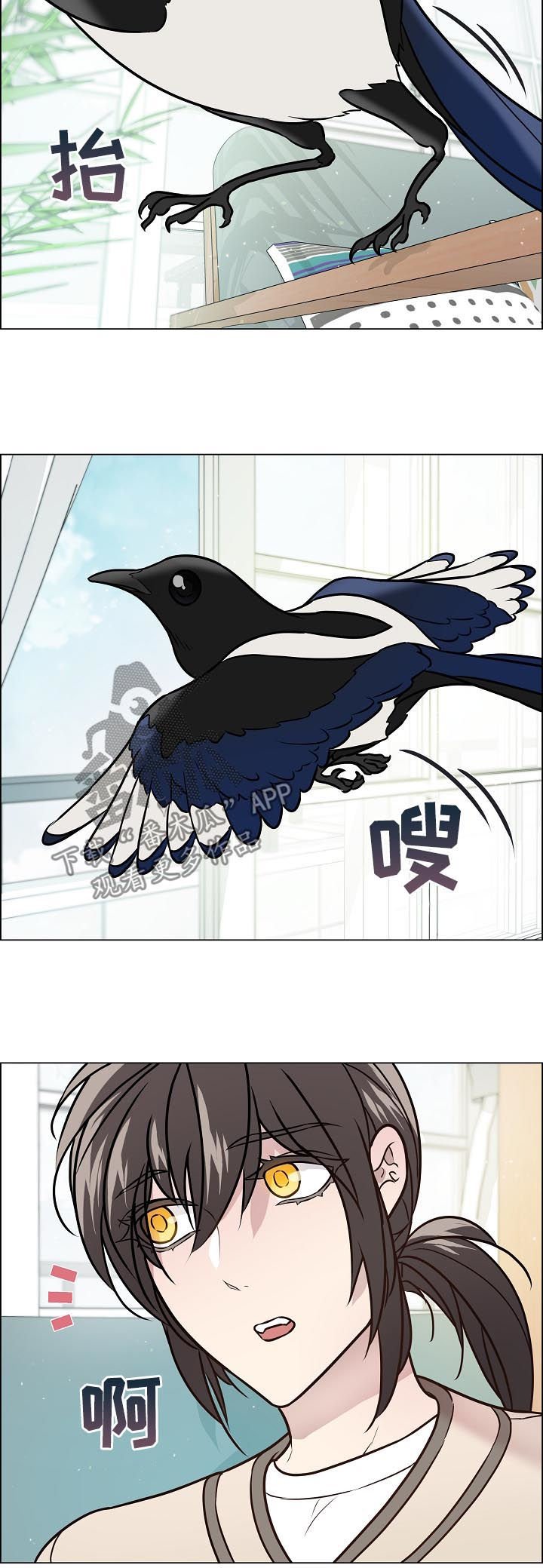 第65章：离开