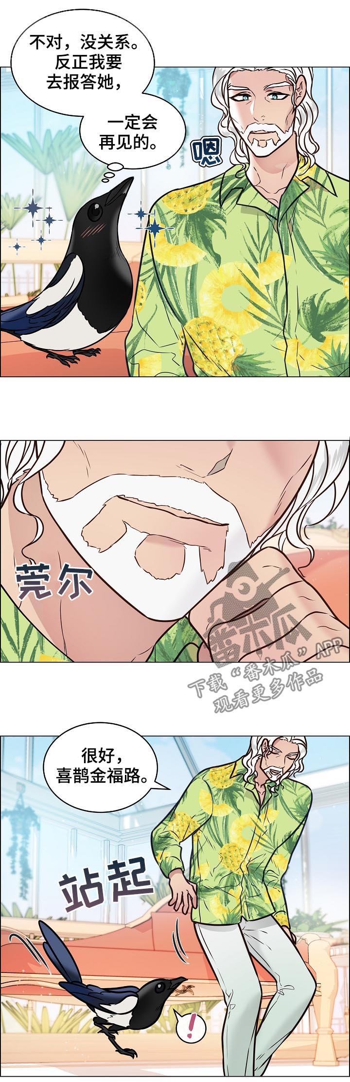 第66章：化人形