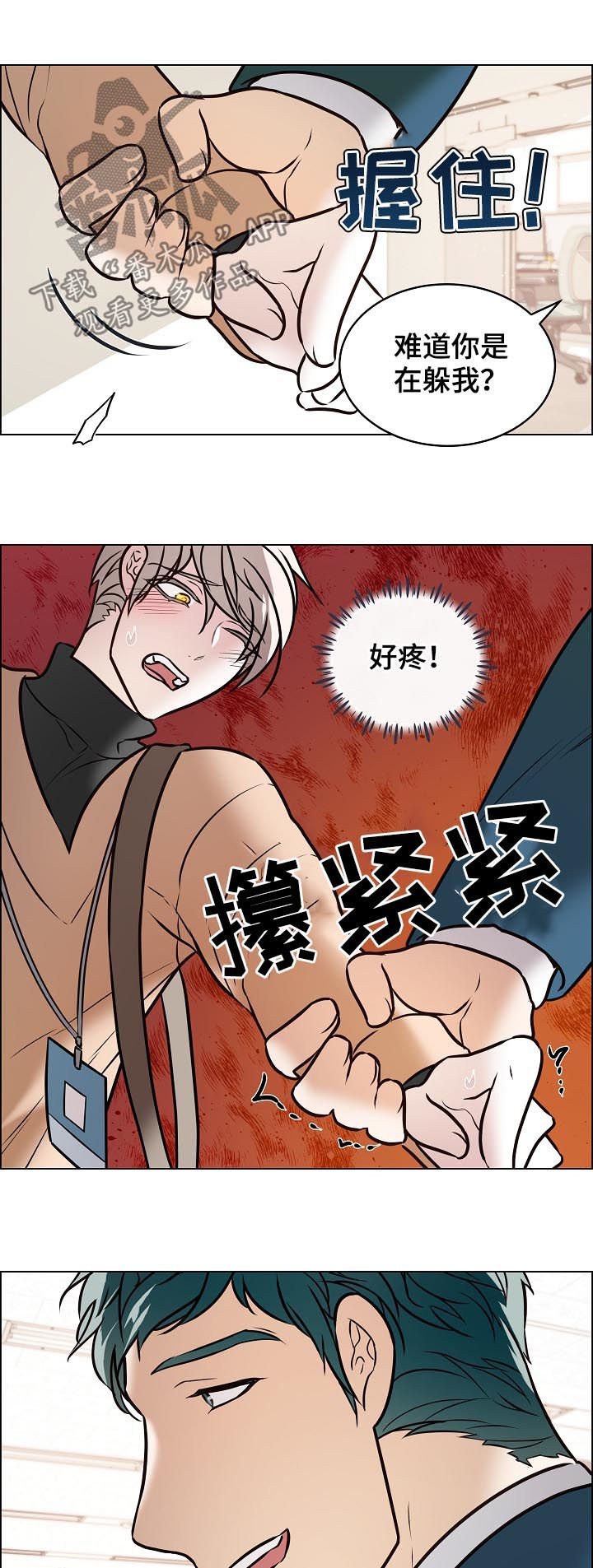 第81章：自作主张