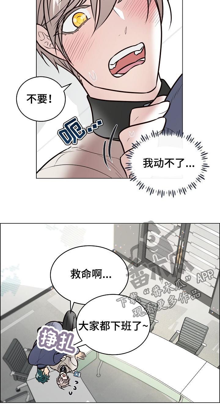 第84章：金组长归来