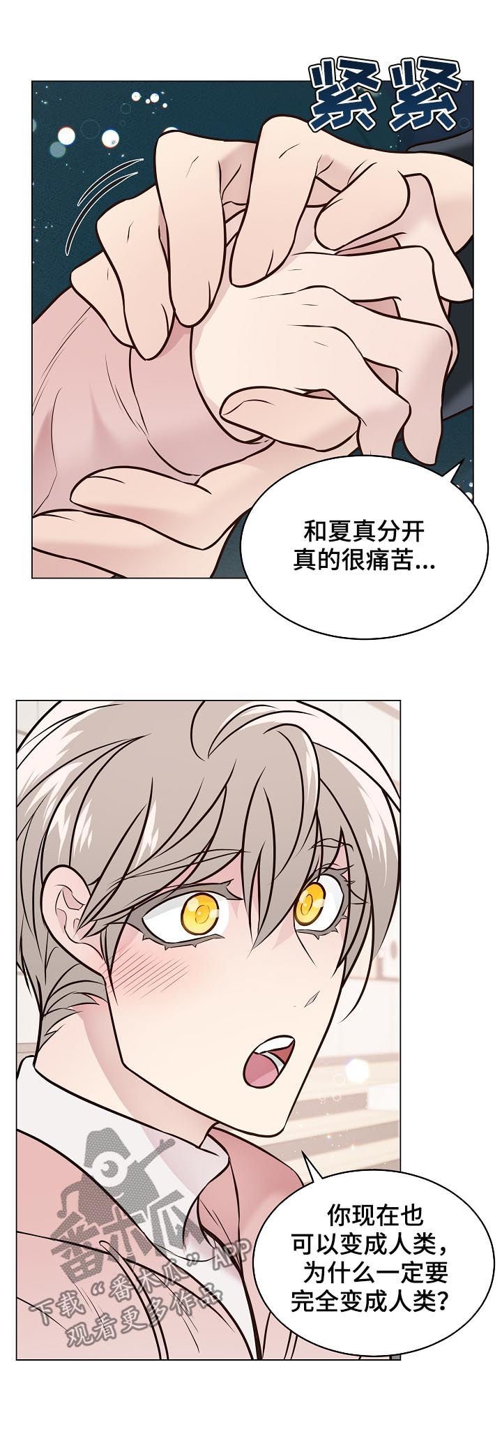 第86章：戒指破碎