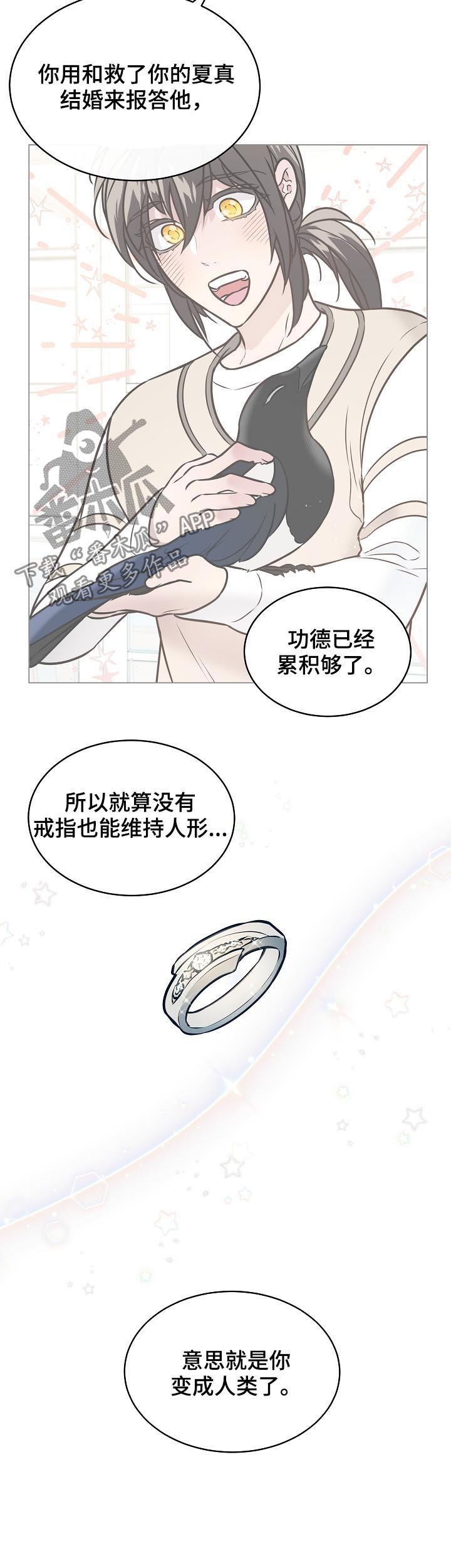 第87章：结婚
