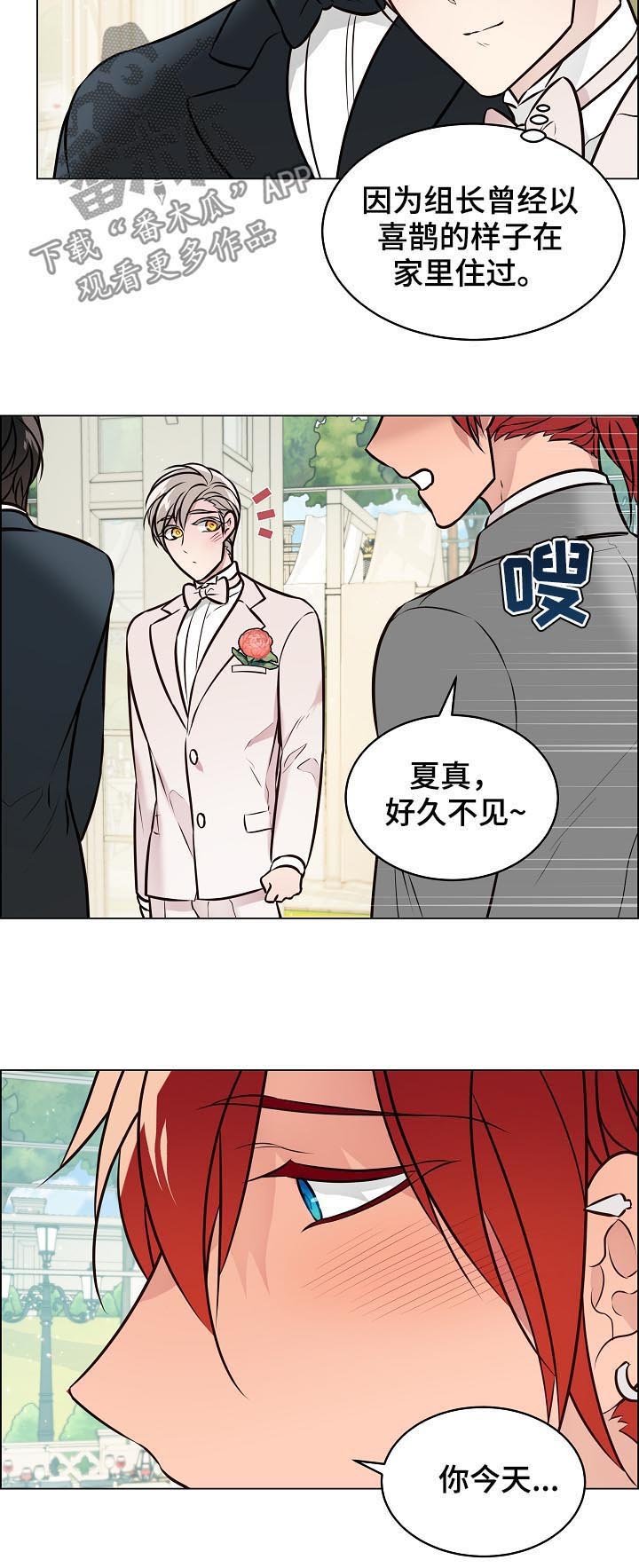 第87章：结婚