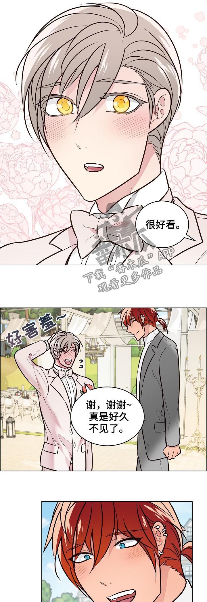 第87章：结婚