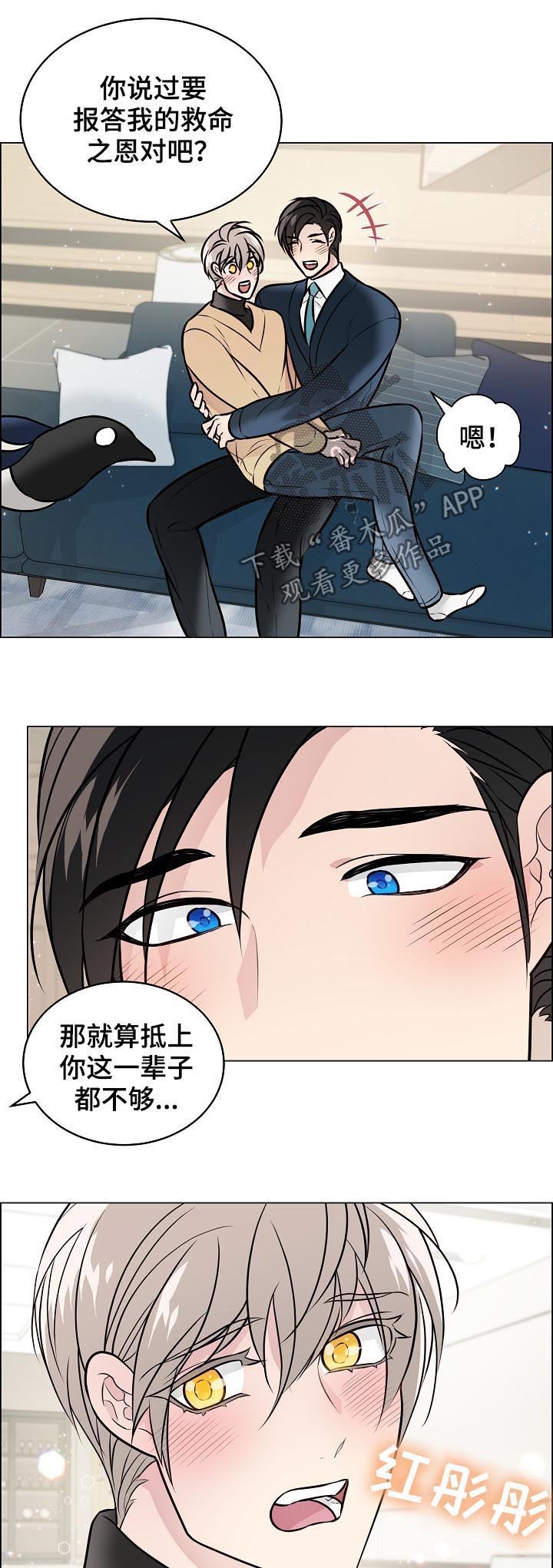 第89章：一辈子都不够（完结）