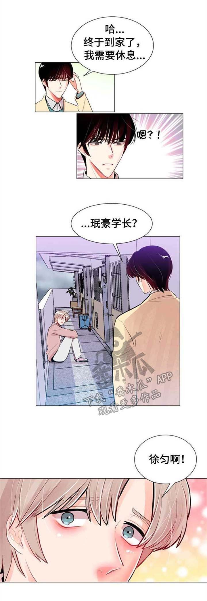 第24章：视频