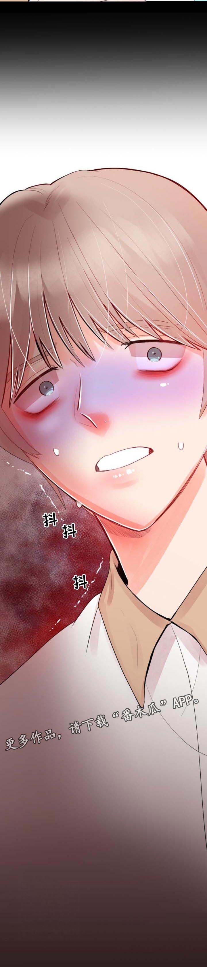 第33章：再相信我一次
