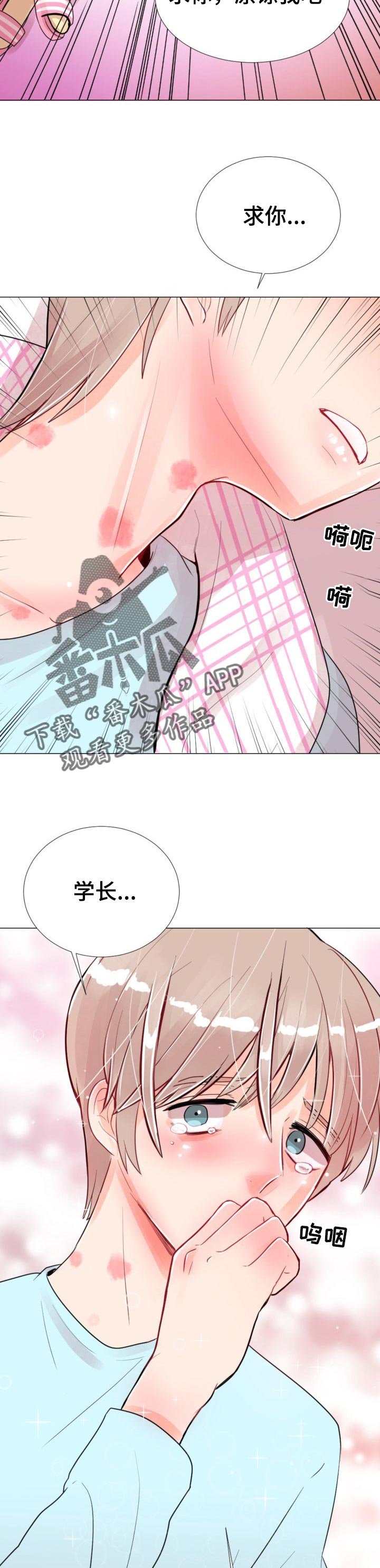第46章：变化太大了