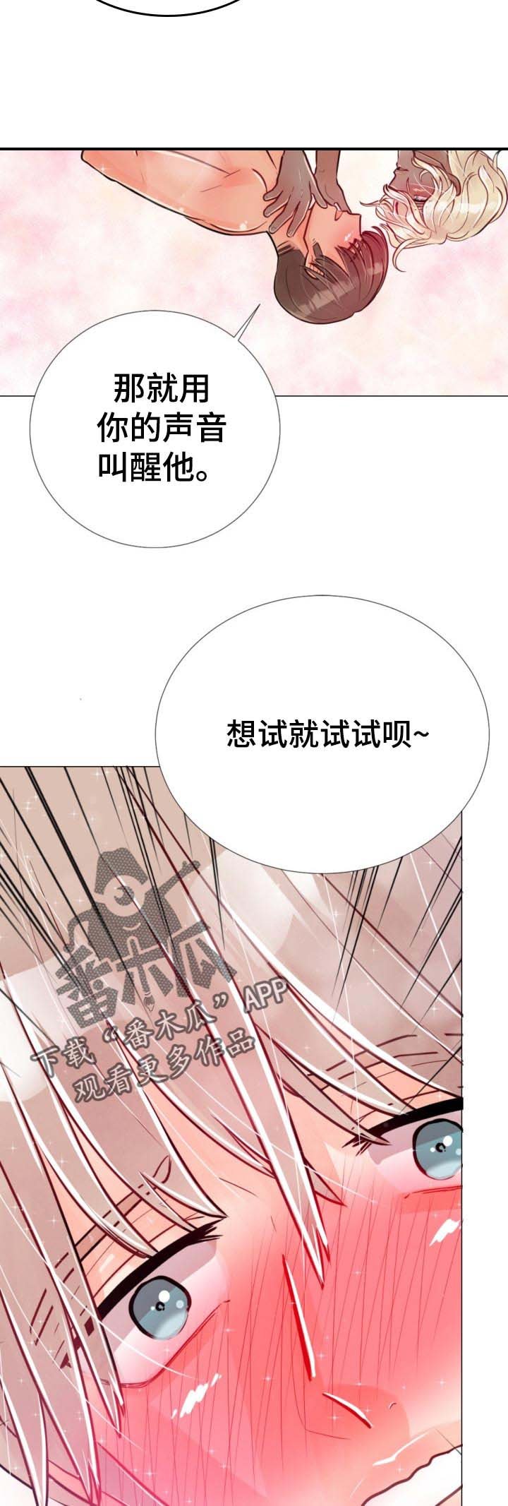 第60章：试一试