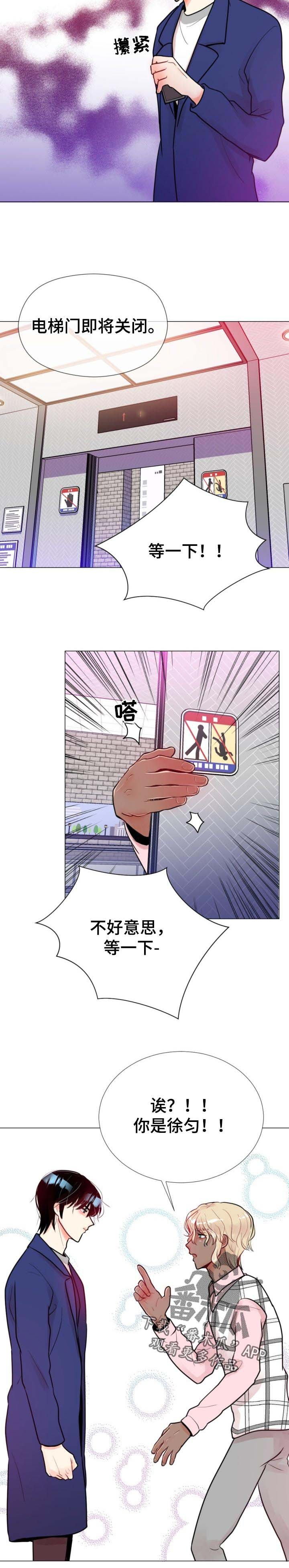 第61章：电梯会面