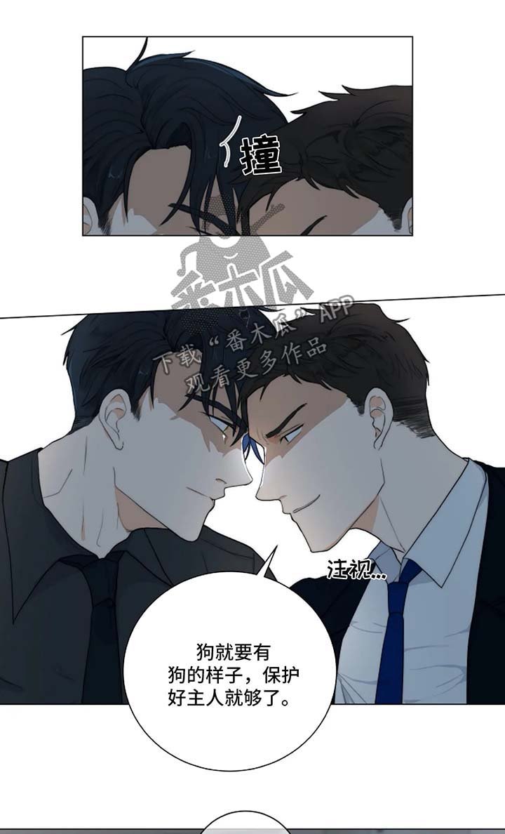 第17章：针锋相对