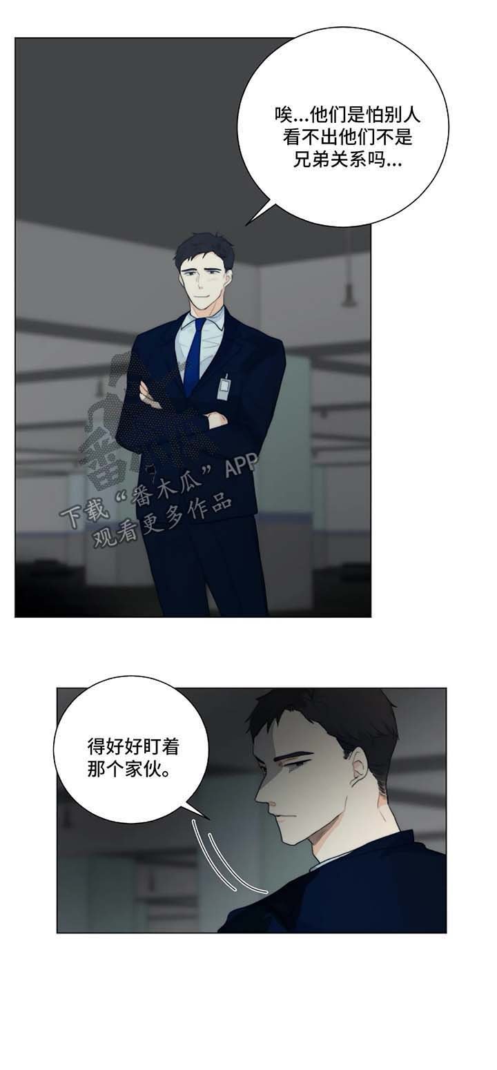 第17章：针锋相对