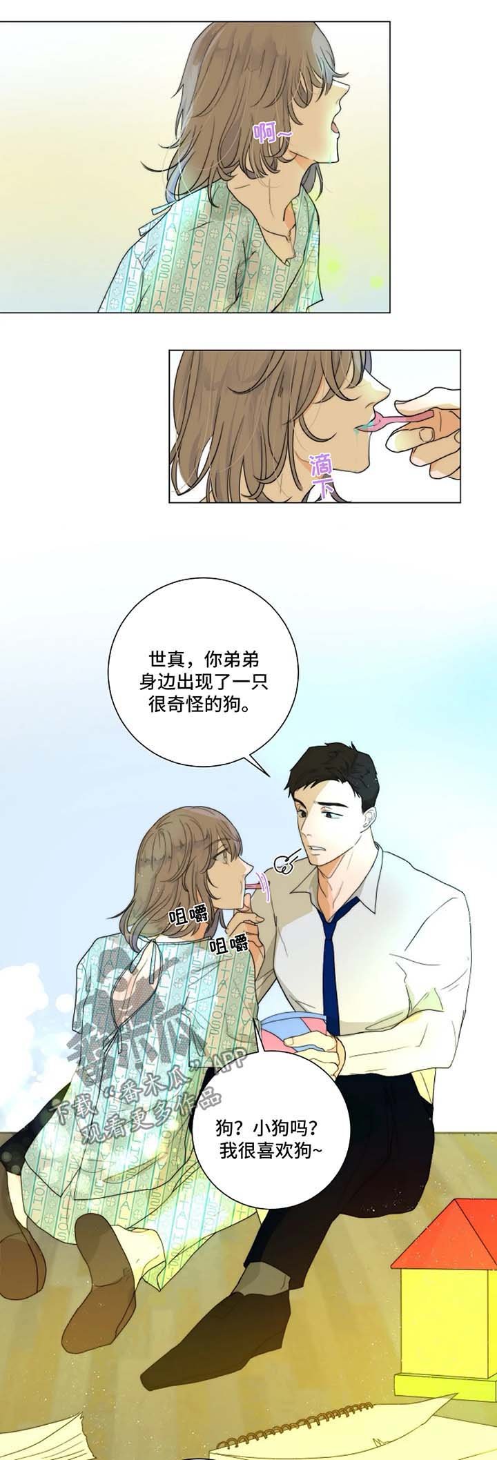 第18章：照片