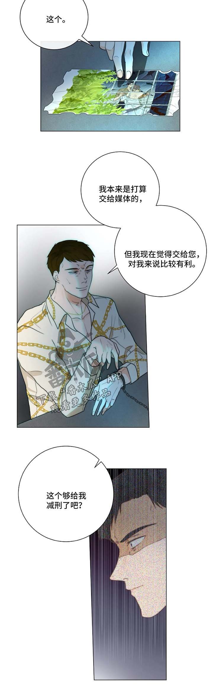 第18章：照片