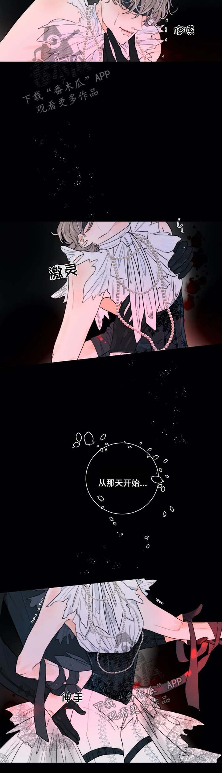 第18章：照片