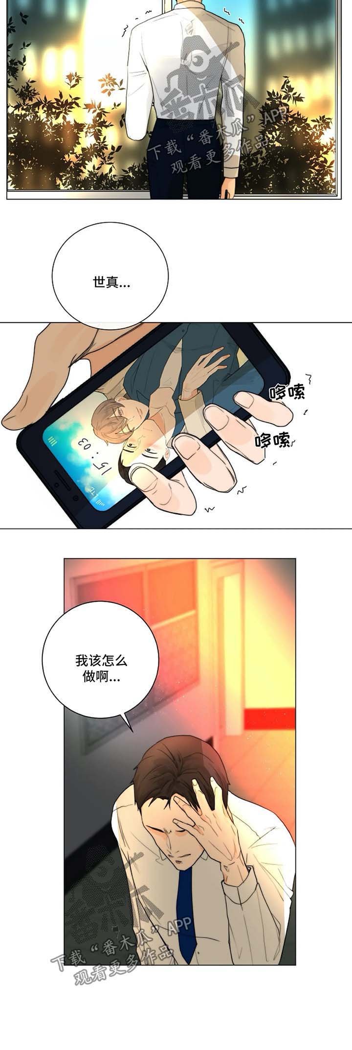 第18章：照片