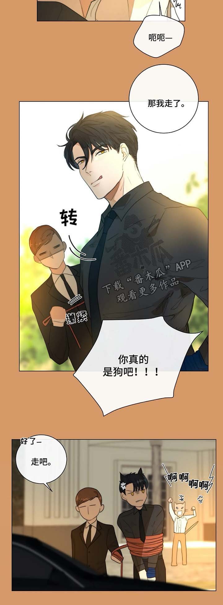 第19章：去医院