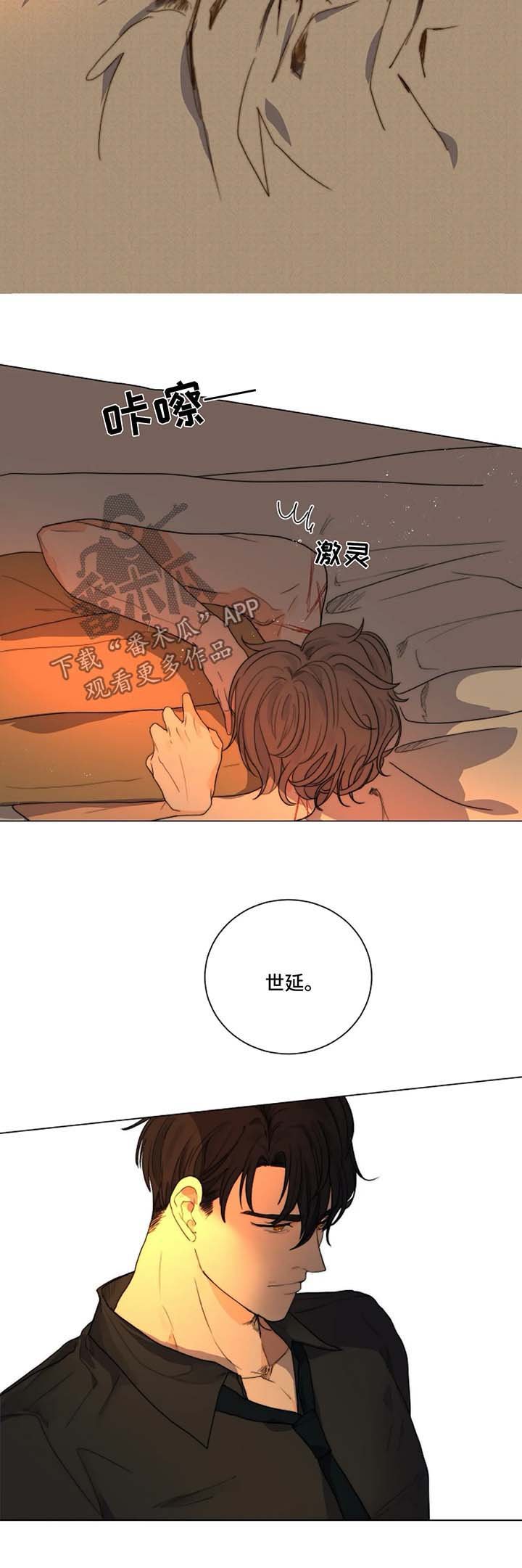 第21章：木偶