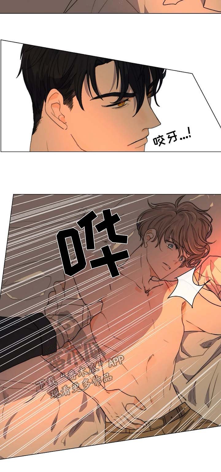 第21章：木偶