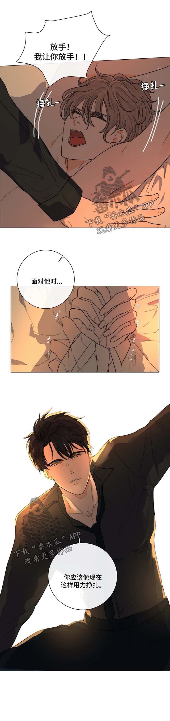 第21章：木偶