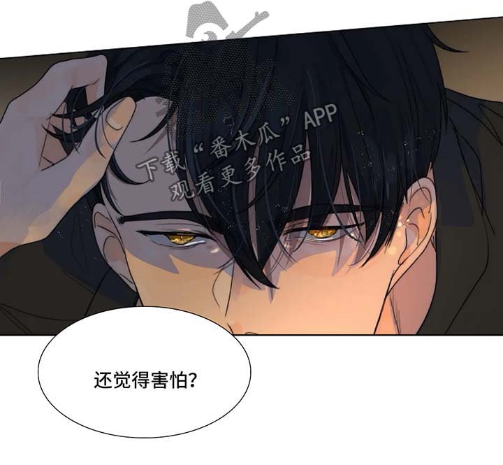 第23章：害怕