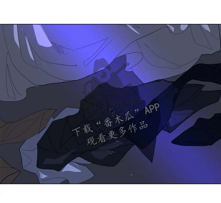 第24章：撕碎