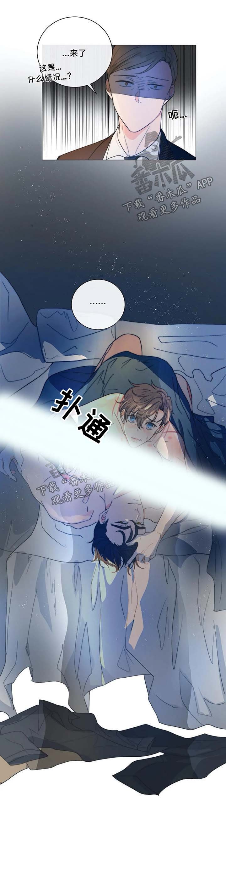 第24章：撕碎