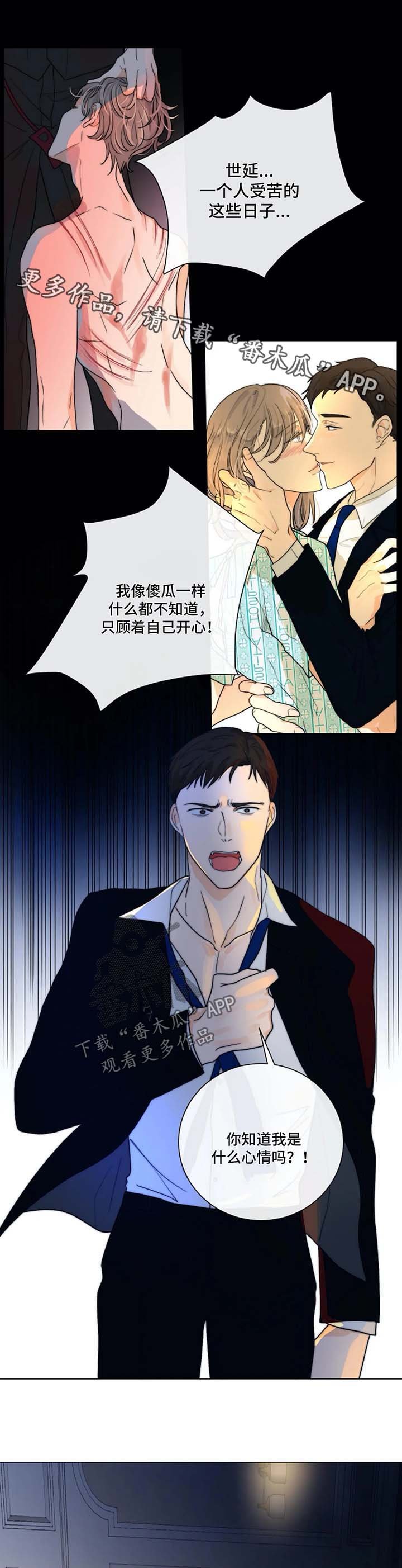 第24章：撕碎