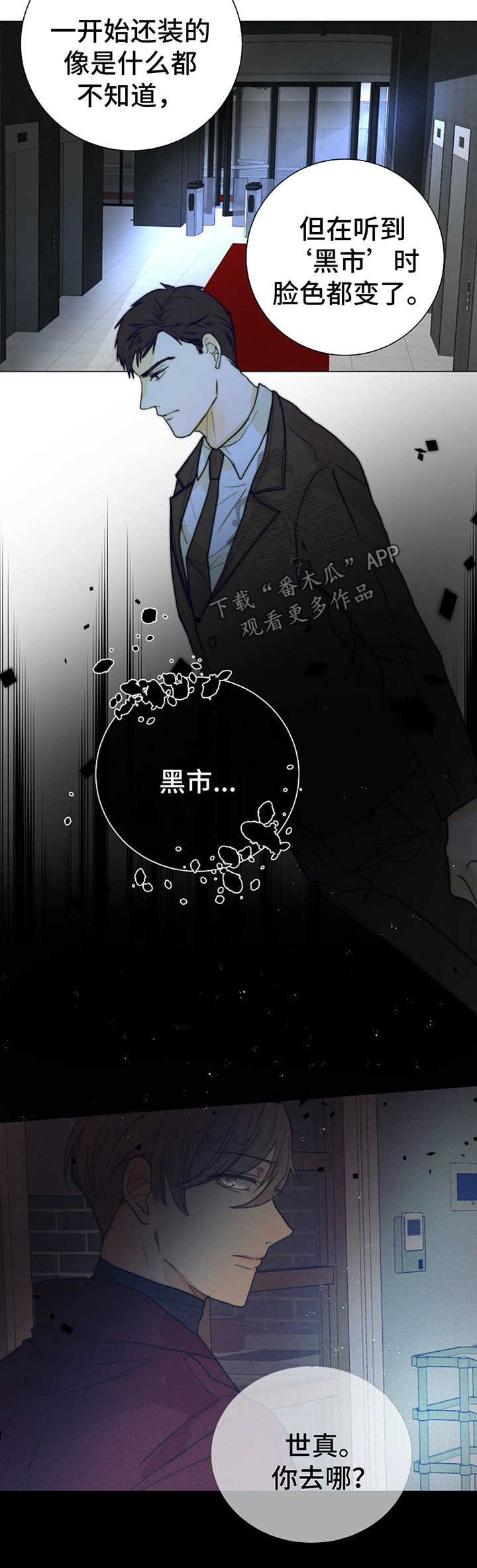 第31章：黑市