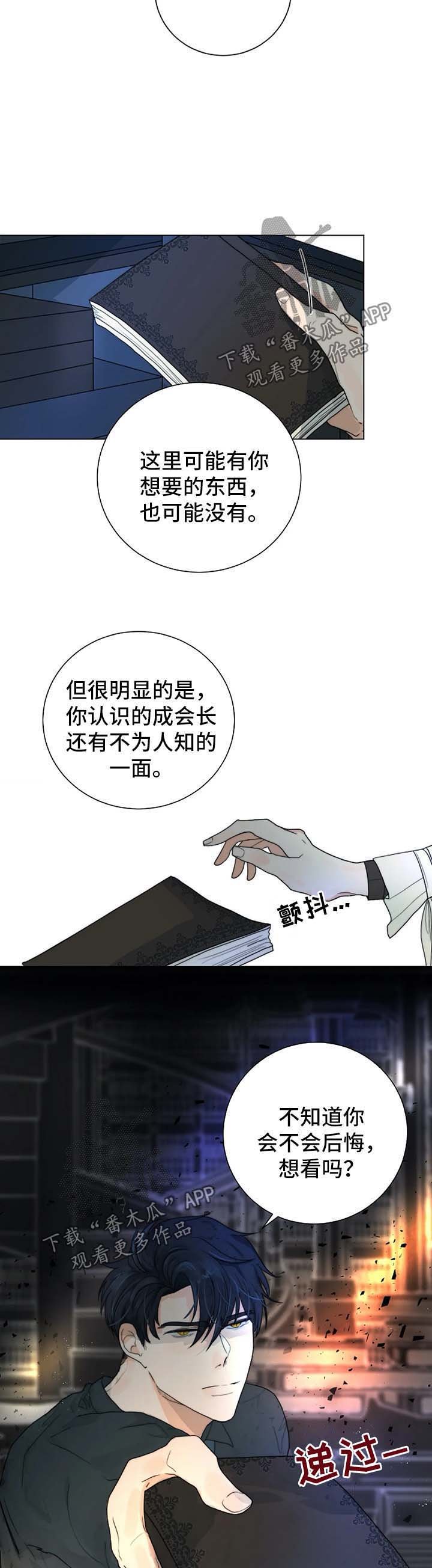 第33章：账本