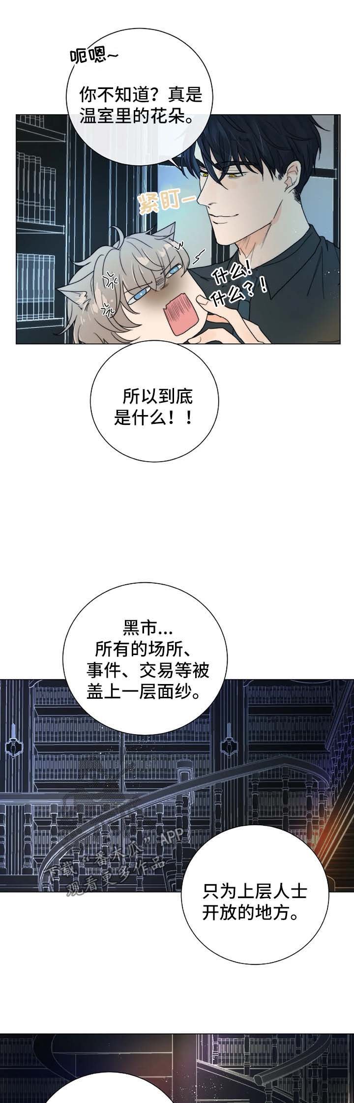 第33章：账本