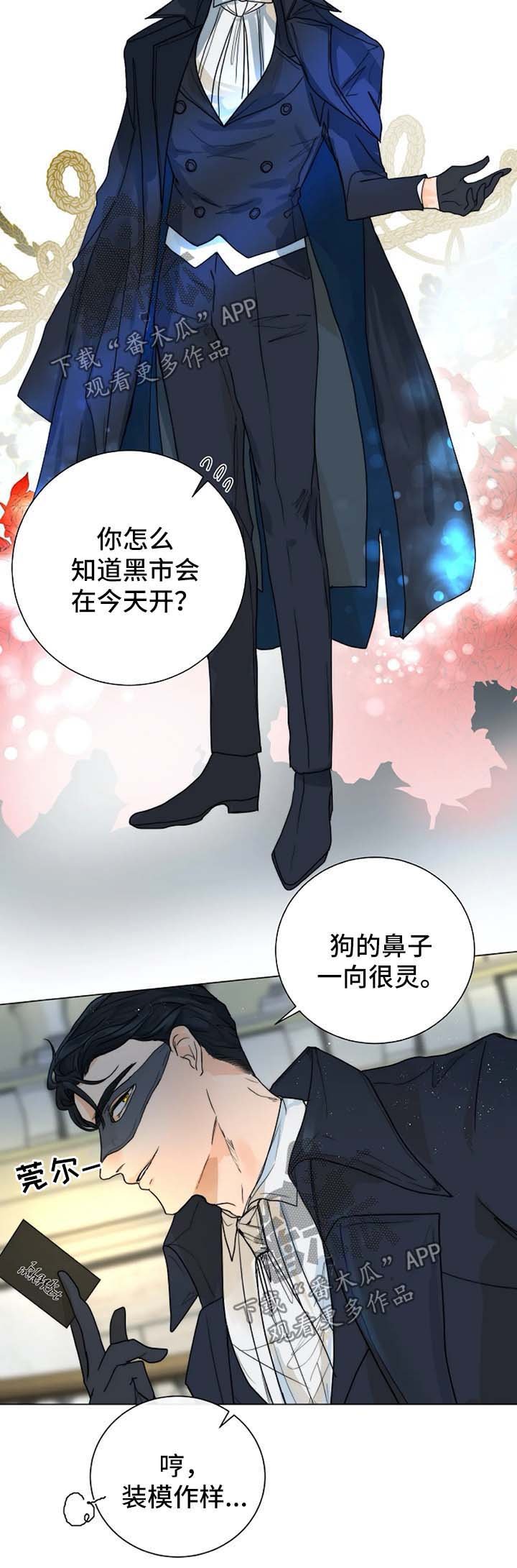 第34章：进入黑市