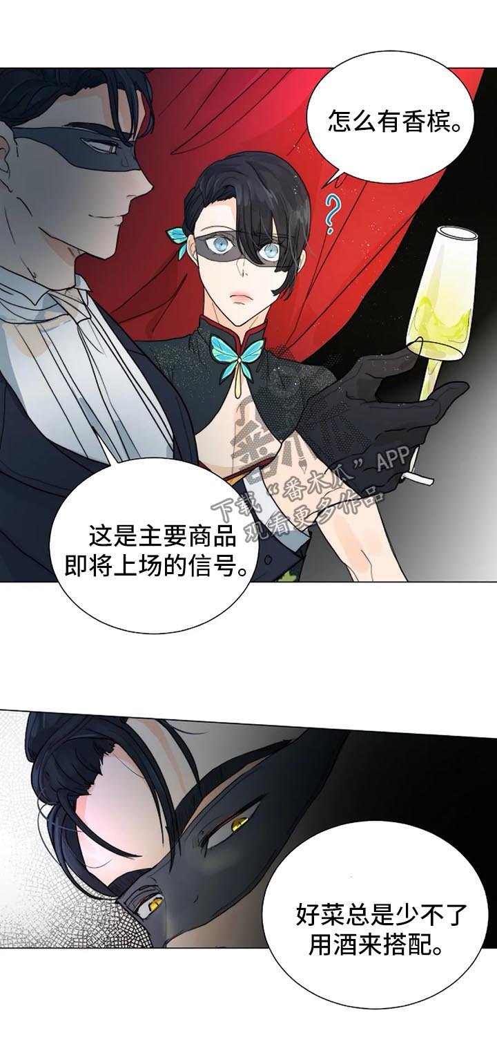 第35章：黑暗拍卖会