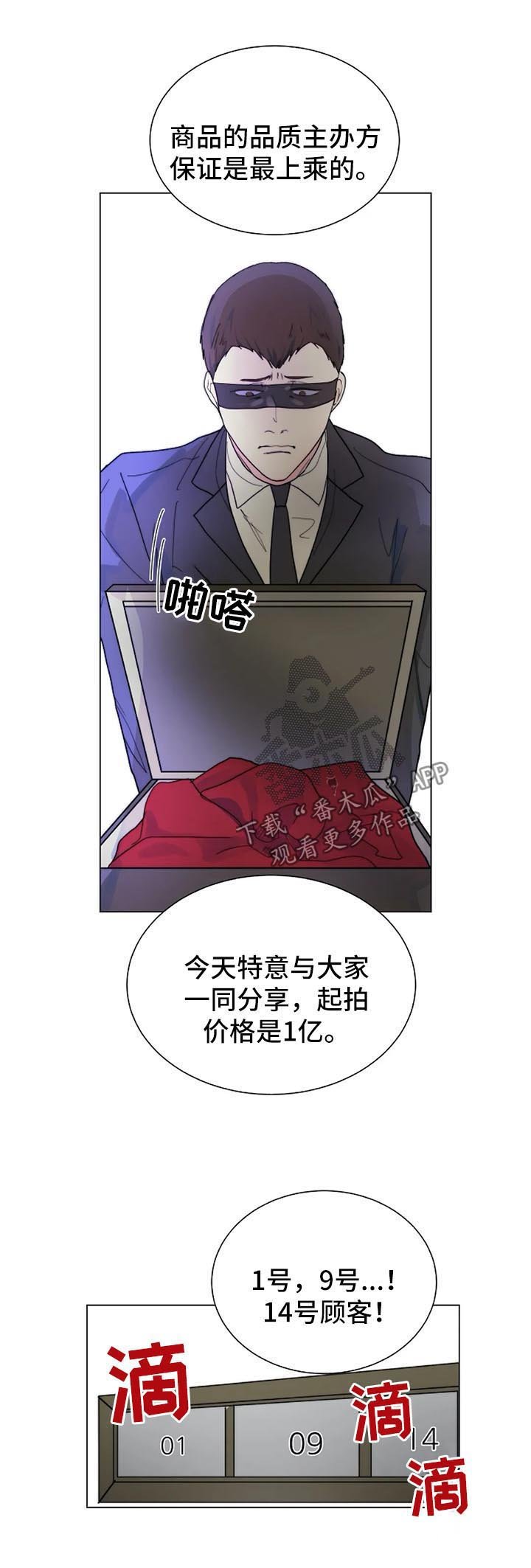 第35章：黑暗拍卖会