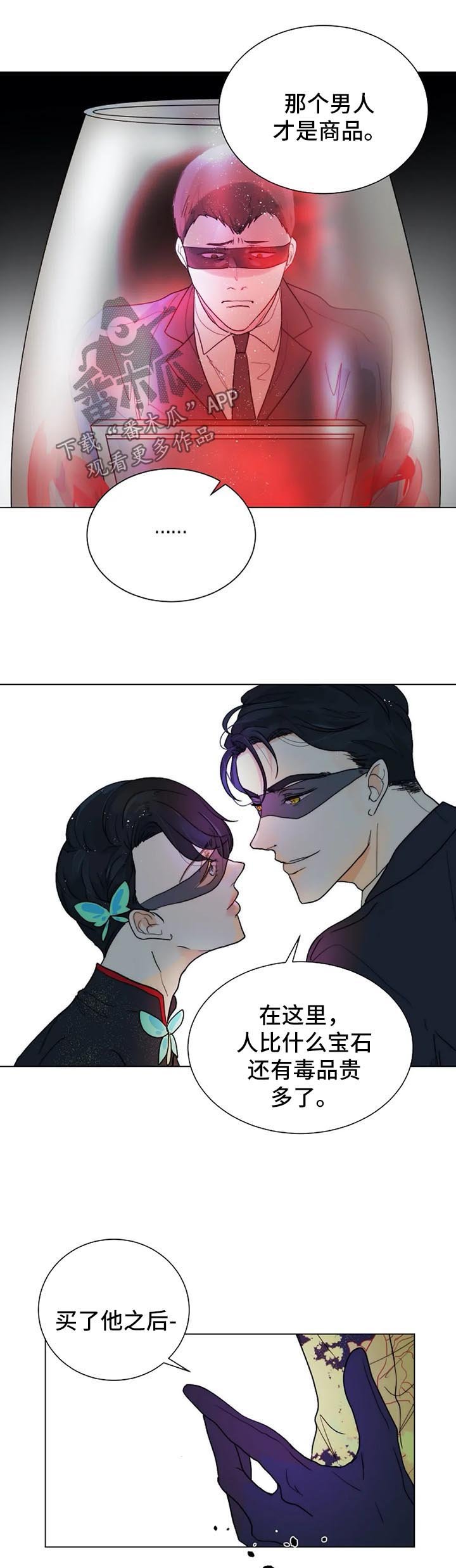 第35章：黑暗拍卖会