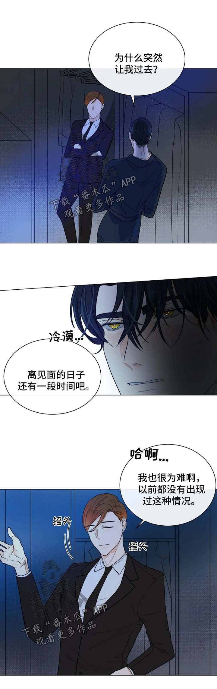 第40章：狗急跳墙