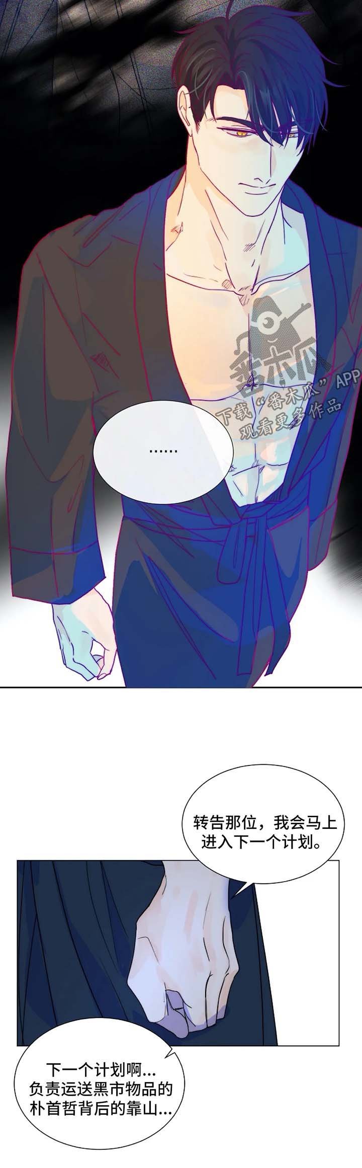 第40章：狗急跳墙
