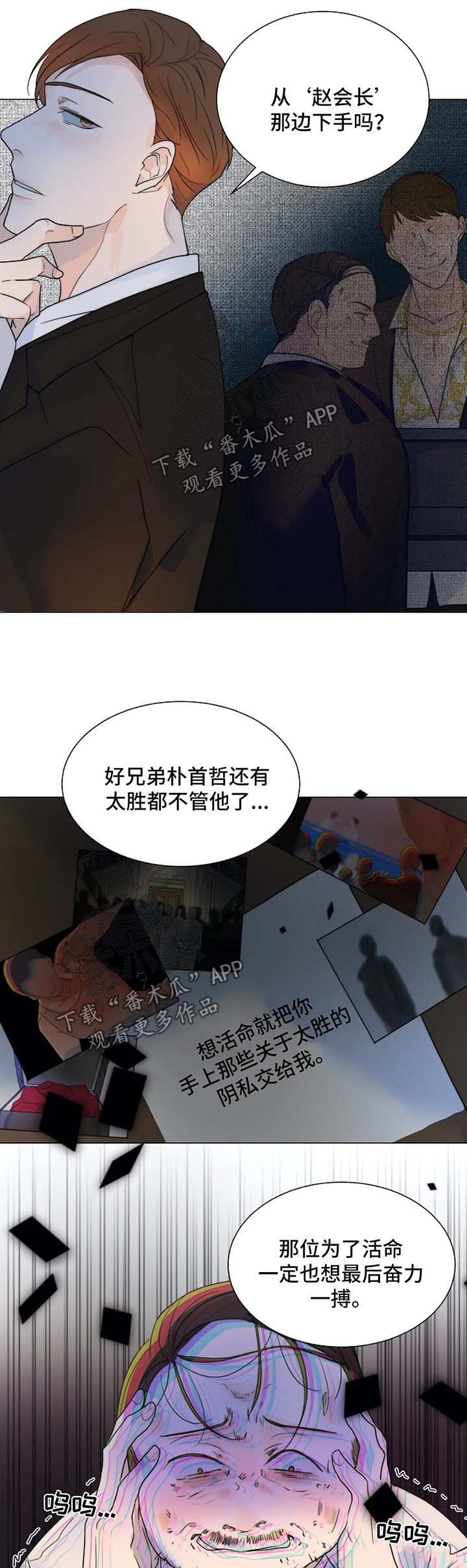 第40章：狗急跳墙
